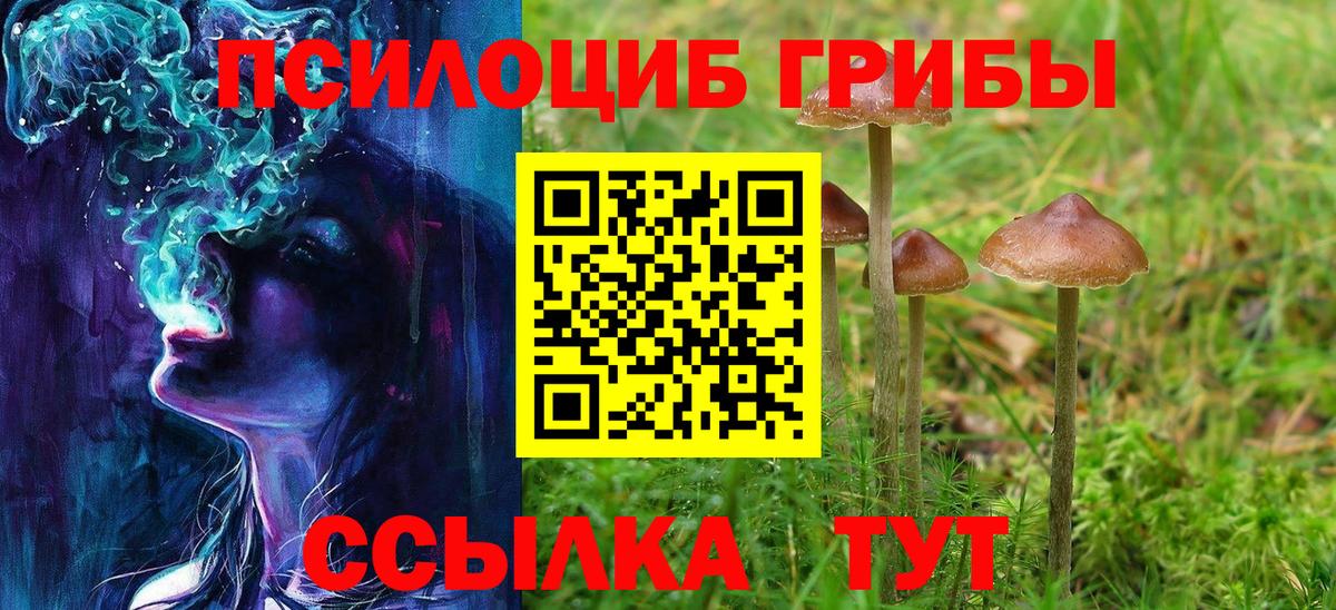 Белая Калитва  Галлюциногенные грибы Psilocybe  Вход с VPN 