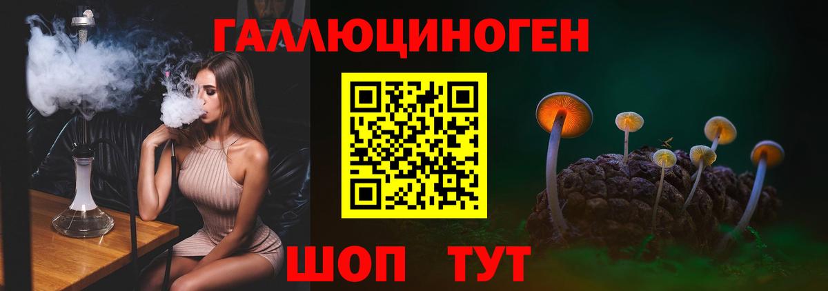 Псилоцибиновые грибы прущие грибы Белая Калитва
